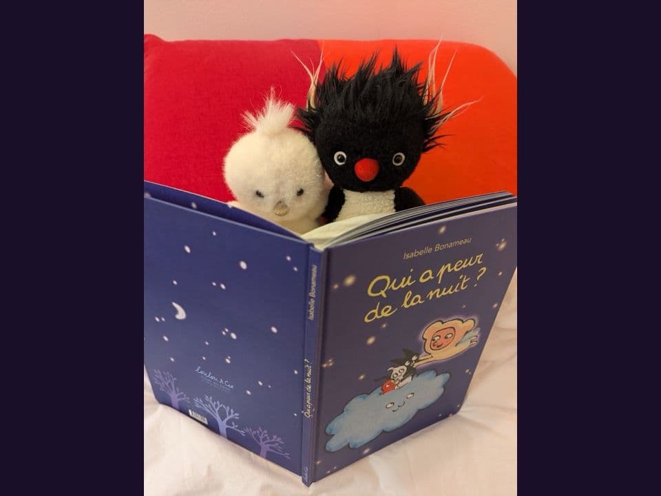 Validé par la Petite Isabelle et Boubou !.jpg