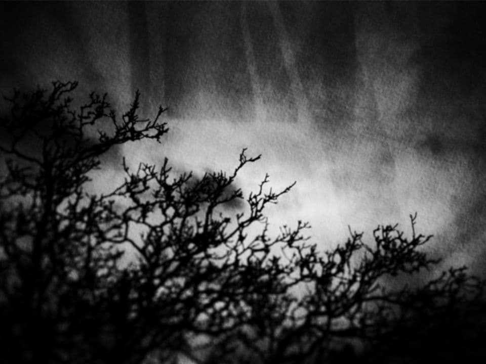 001=L’hiver, 2023_Winter, 2023.jpg