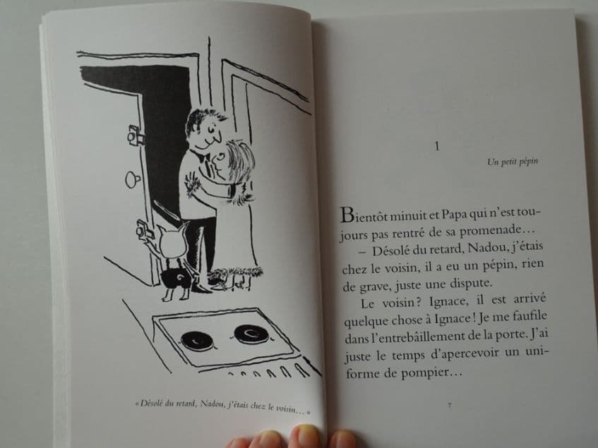 004=L’affaire du Clown Masqué, 2005_L’affaire du Clown Masqué, 2005.jpg