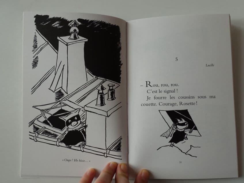 006=L’affaire du Clown Masqué, 2005_L’affaire du Clown Masqué, 2005.jpg