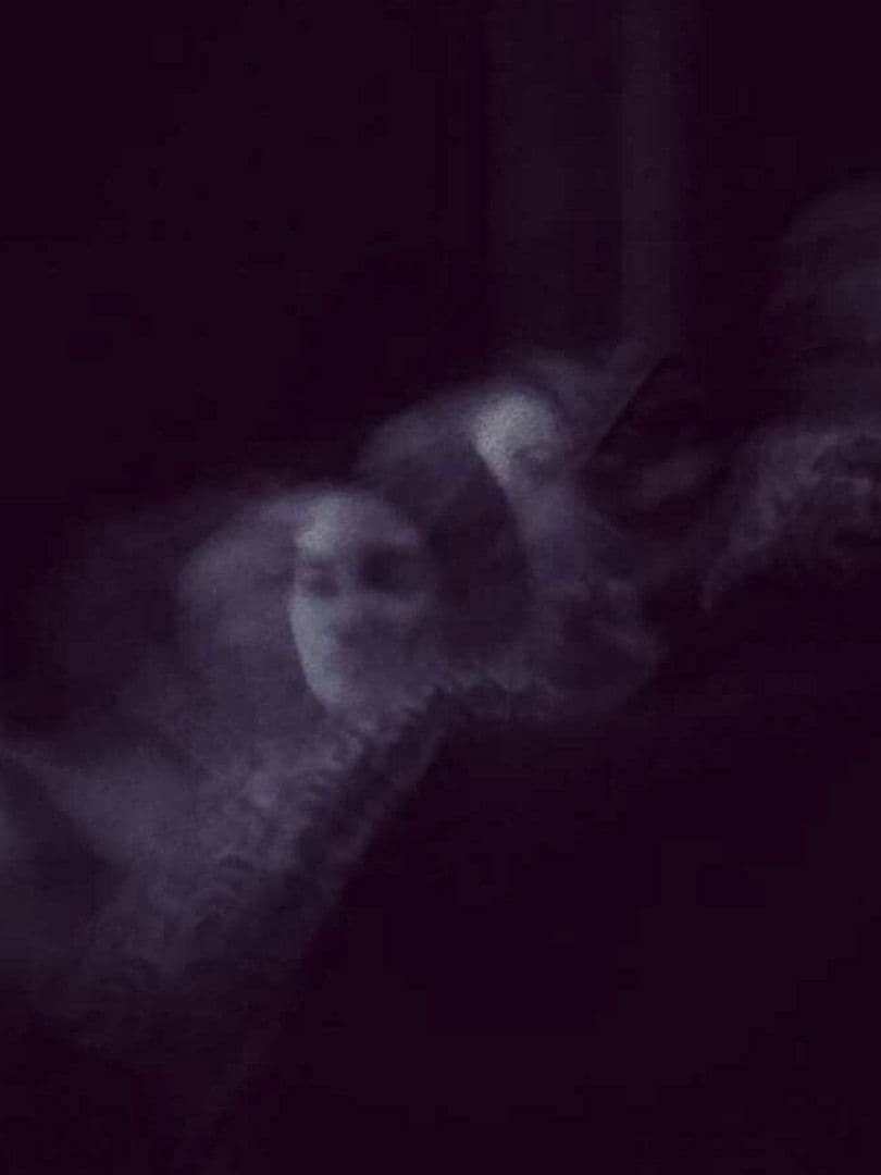 004=Le concert, 2017_The concert, 2017.jpg