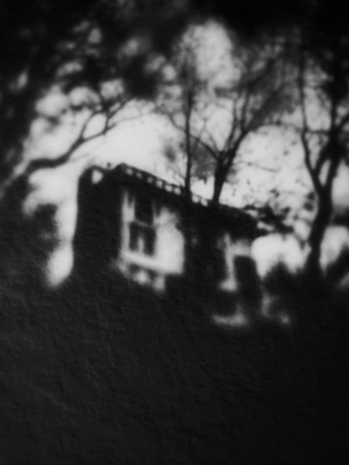 007=La nuit de l’iguane, 2021_The Night of the Iguana, 2021.jpg