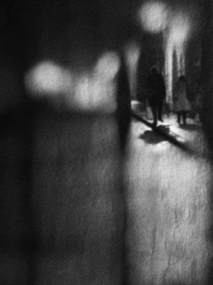 009=A l’heure où les chats sont gris,exposée à la galerie L’aiguillage, lors du festival de street-photography du collectif Regards Croisés, 2019_The hour when cats are gray, 2019.jpg