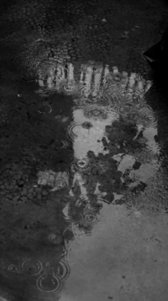 011=Sécession, 2023_Secession, 2023
.jpg