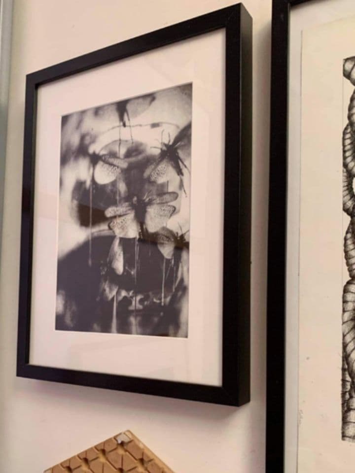 051=Les papillons noirs, tirage photographique, photo de M Lothaire, 2018_Black butterflies, photographic print, photo of M Lothaire, 2018.jpg